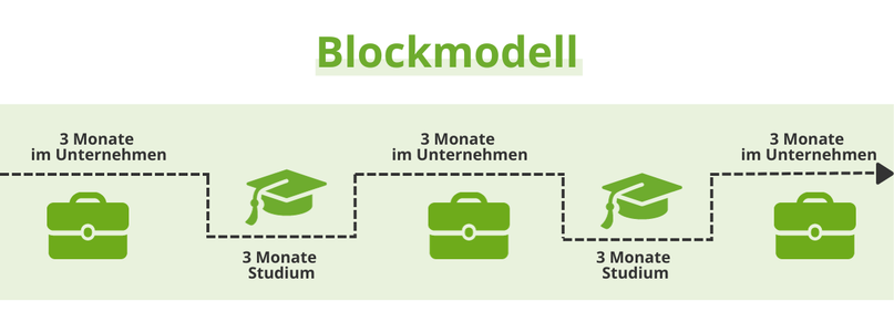 Grafische Darstellung eines Blockmodells im dualen Studium